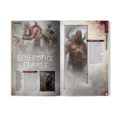 White Dwarf - Issue 529